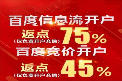 百度竞价排名服务：实战案例教你如何高效推广